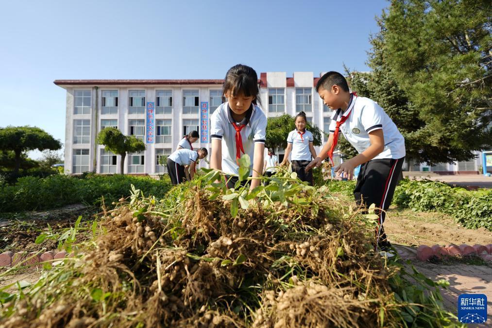 必发现金游戏